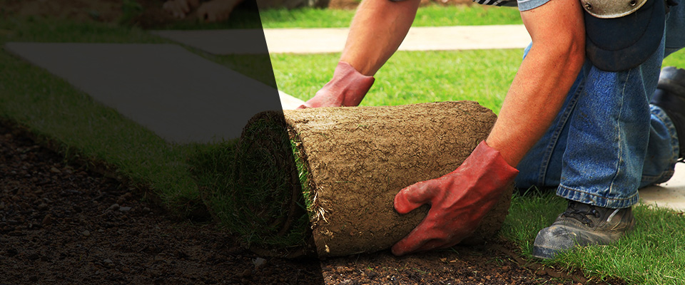 Fort Sill Landscapers